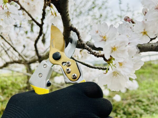 Bypass Pruning Shears Pro 7" w/ Plastic Holster - Image 5