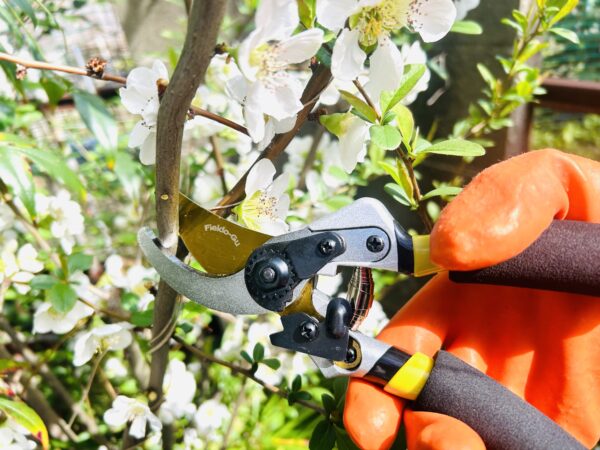 Bypass Pruning Shears Pro α 8" - Image 4