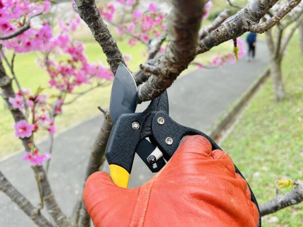 Bypass Ratcheting Pruning Shears 8" - Image 4